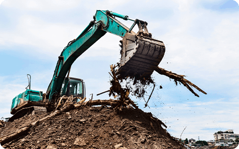 Selective Demolition